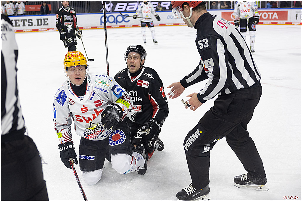 PENNY DEL 1; Kölner Haie - Fischtown Pinguins; Köln, 15.11.2024